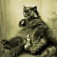 [Кот-бегемот]