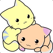 Cat๏