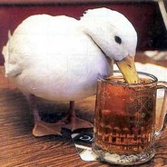 Drunk-Duck