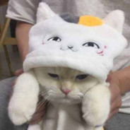 ono