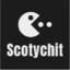 Scotychit