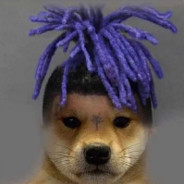 xxxdogtacion