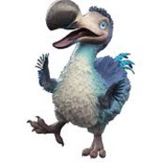 ๖ Dodo