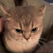 horny bmw driver :-)