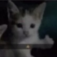 Bonzi