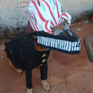 MaSka_