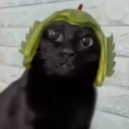 mortyy avatar