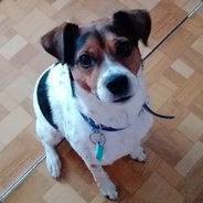 Lulka :)