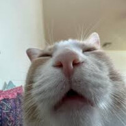 Tuni