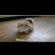 twitch.tv/fleshkahab