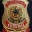 #AGENTE_FEDERAL#