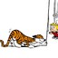 TigerHobbes