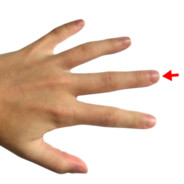 finger hahahah tramaeivõi