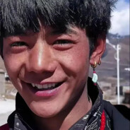 你看见过我的雪豹吗？