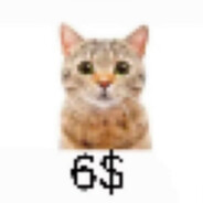 6$