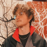 mattlanders