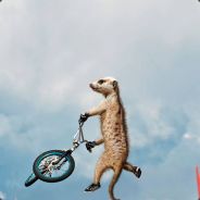 DANIEL100500