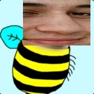 wsn