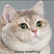 TheExcellentCommutor's Avatar