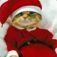 nachʐ  ▸TF2Jump«