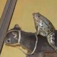 Steam Community Avatar