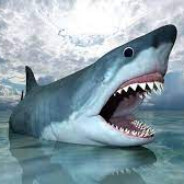 驚滔駭浪大白鯊's Avatar