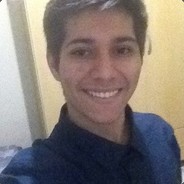 Cão de Briga
