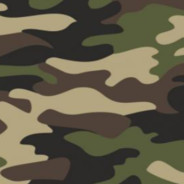 Plattenpanzer's Avatar