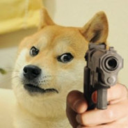 Kaz