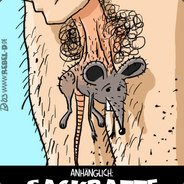 Sackratte