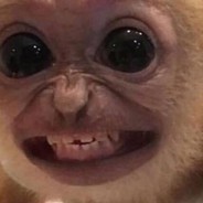 Punished_JUSTICE's Avatar