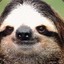 Sloppy Sloth