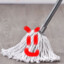 Malicious Mop