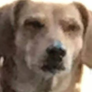 labra