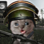 store avatar