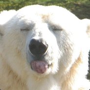 Polarka