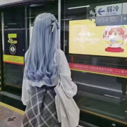 不听春日影