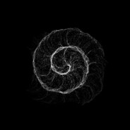 Ziawen