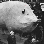 Машонкин Олег