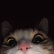 cosmo