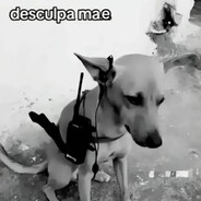 Menó quente