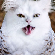 ♿ Mata ♿'s Avatar