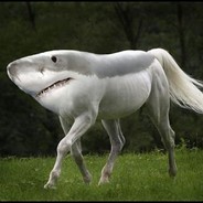 you-_shark-_-baby