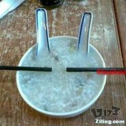 SIREN_HEAD (BBQ)