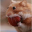 Greedy_hamster