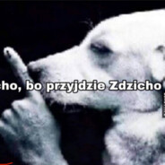 Zdzisław[∞aura]