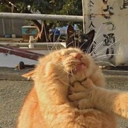 封剑