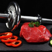 SteakWeights&ProteinShakes's Avatar