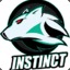 iNsTinCt