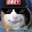 TheBestOfHamster